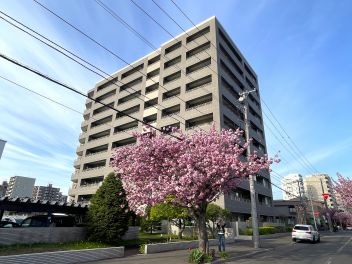 ウェリス円山南４条シティハウス