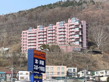 パームヒル藻岩