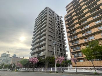 アヴァンセ大通